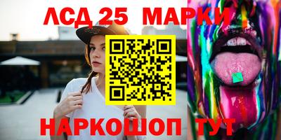 СК Можга