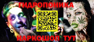 СК Можга