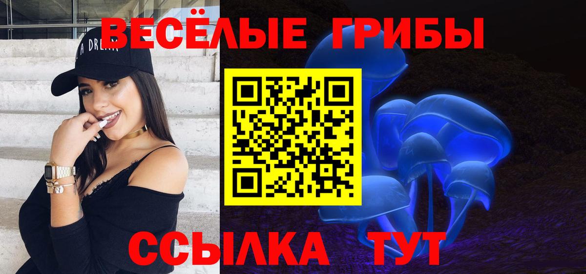 Псилоцибиновые грибы GOLDEN TEACHER Урай