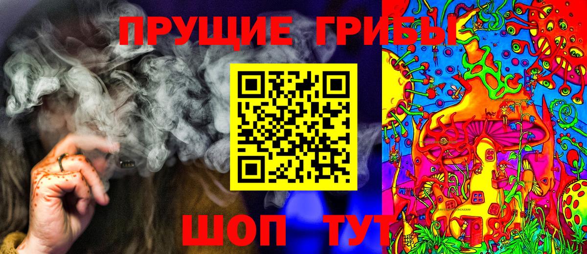 Урай  Псилоцибиновые грибы Psilocybe  хочу   Вход с VPN 